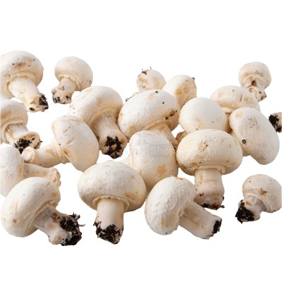 Шампиньоны свежие 500 г - купить в Муглово